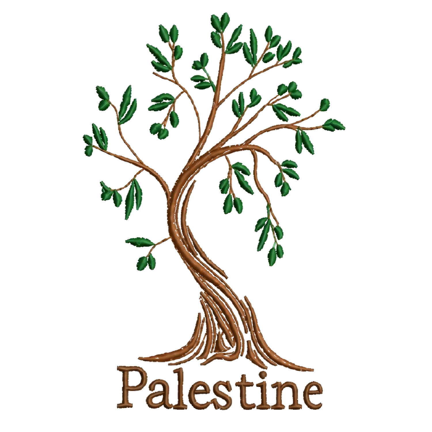 Ancient Palestinian olive tree